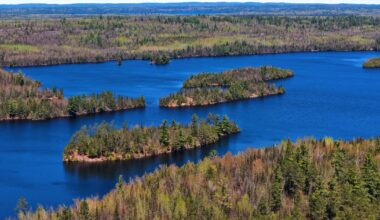 Watch live: Minnesota Gov. Tim Walz issuing executive order to block mining in Boundary Waters