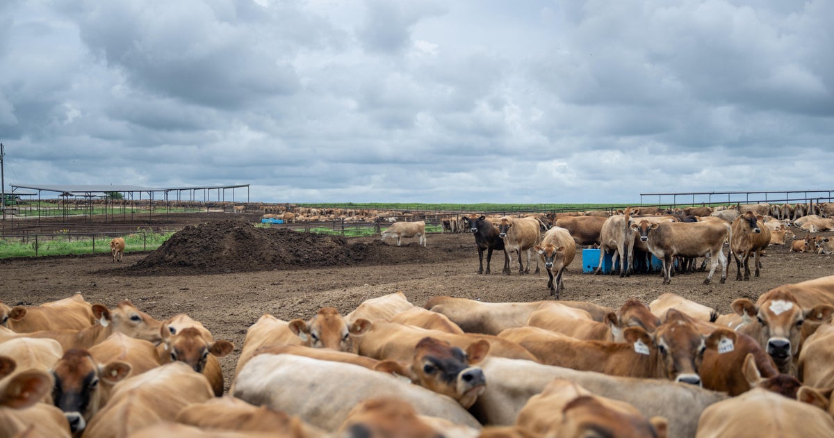 Cattle ranchers express concern about U.S. plan to boost foreign beef imports