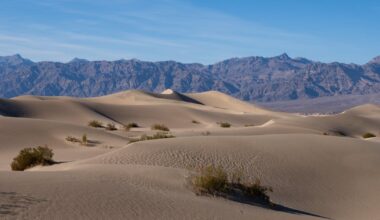 Tourist dies in Death Valley National Park after car gets stuck in 116-degree heat
