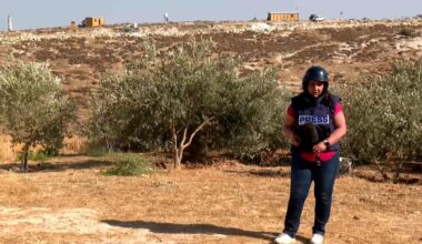 Israeli settler attacks rise as West Bank residents lose land | Israel-Palestine conflict