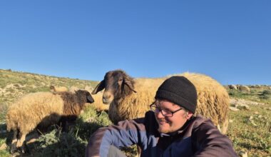 Jewish-American barred by Israel calls settler violence ‘state terror’ | Human Rights