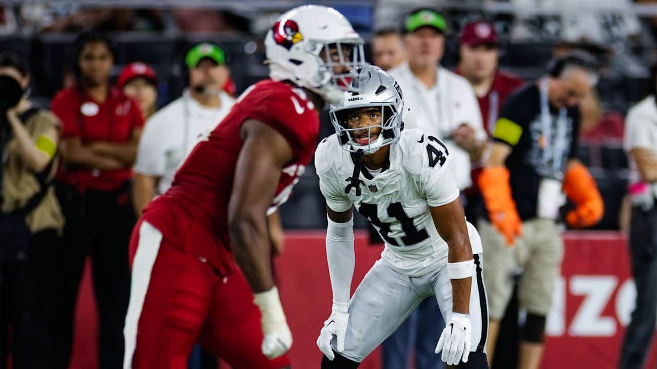 Las Vegas Raiders logo