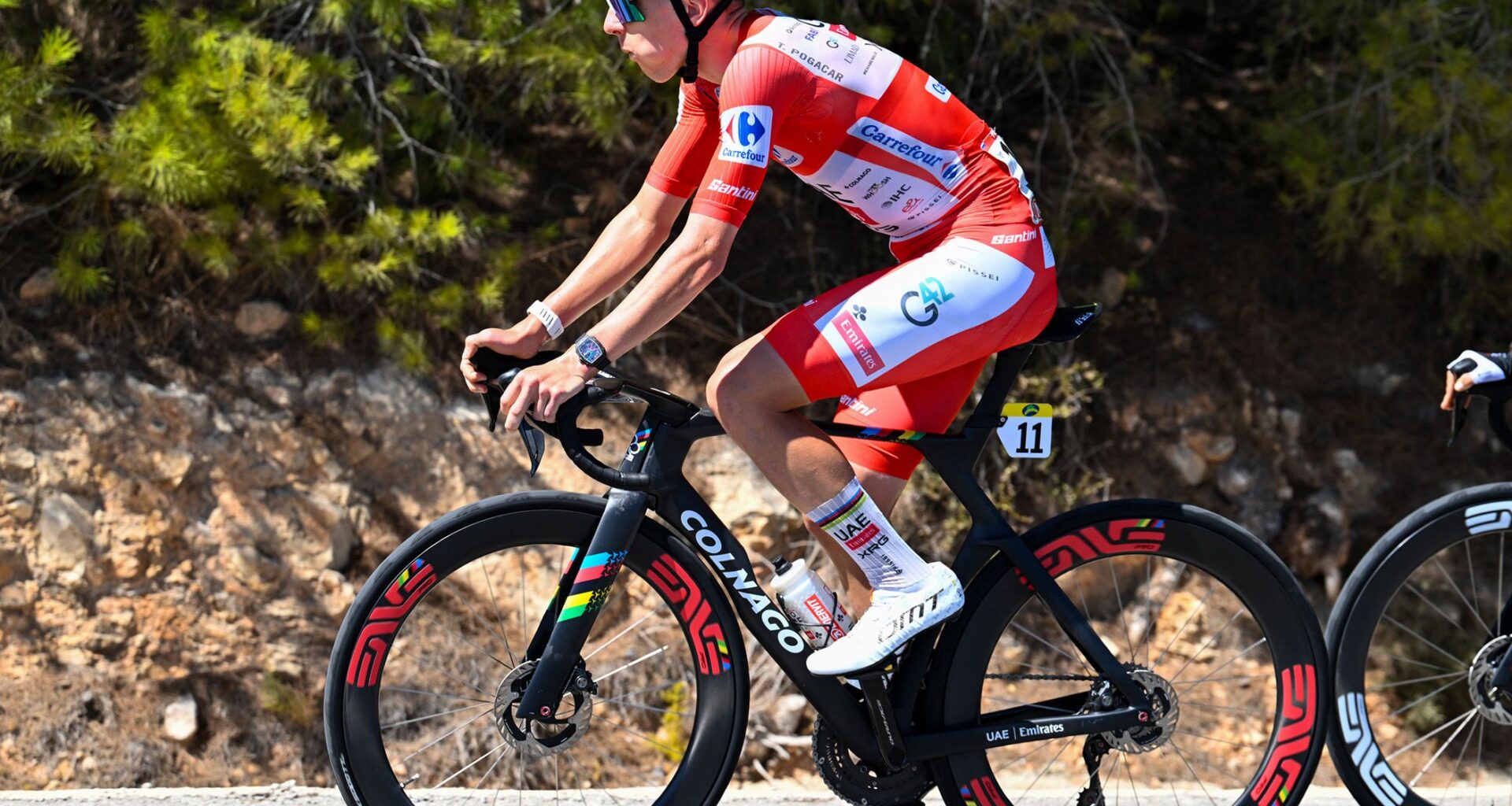 Tadej Pogačar abandons the Vuelta a España after crash on stage 8
