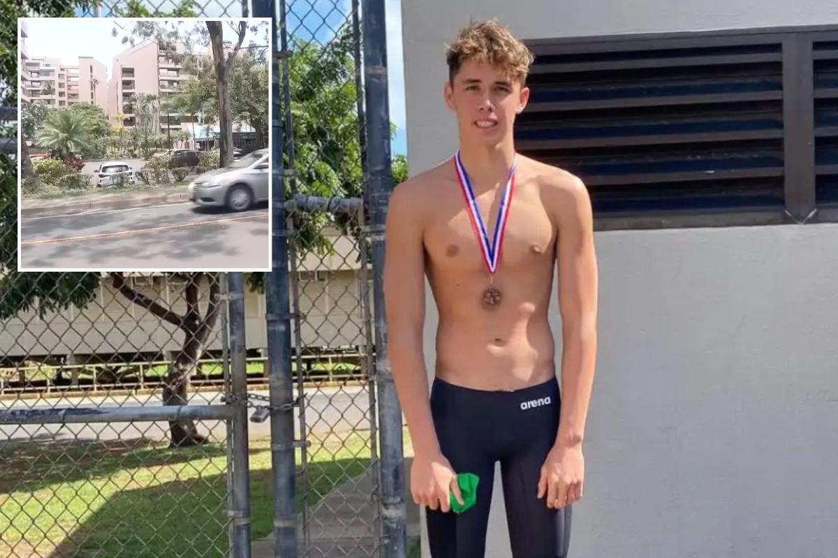 Hawaii naked swimmer Legend Storer killed security guard Michael Dyer at Maui resort