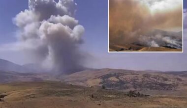 Ridge Fire forces 5 Freeway closure and evacuation orders near Gorman