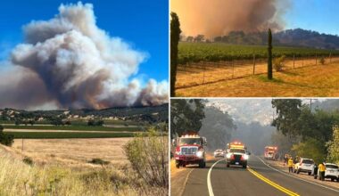 Feliz Fire explodes in Mendocino County as urgent evacuation orders issued