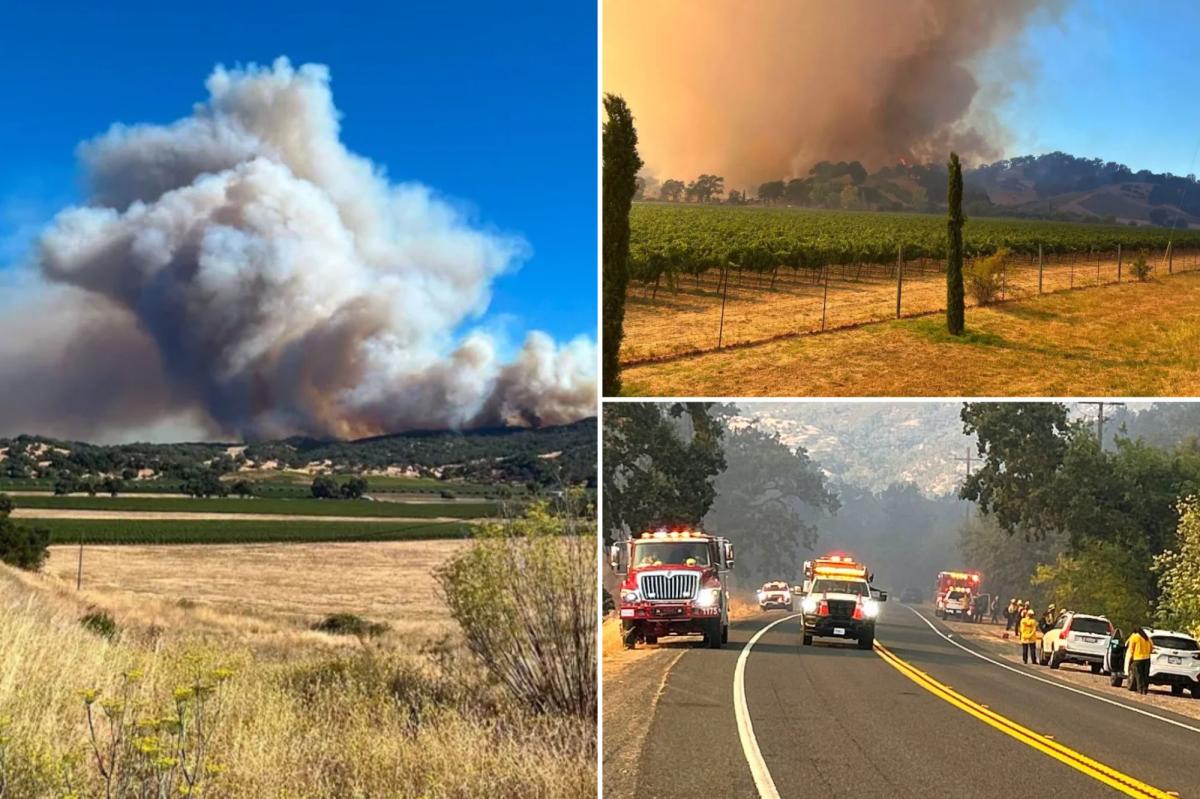 Feliz Fire explodes in Mendocino County as urgent evacuation orders issued