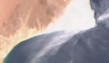 Oman says massive oil spill reaches coastline: What damage could it do? | Environment News