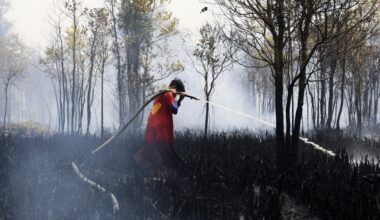 El Nino set to be most intense ‘for over a century’: UK forecasters | Weather News