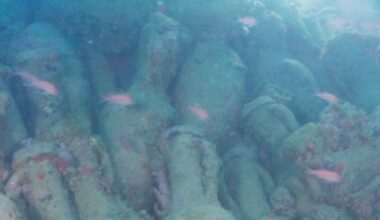 Roman shipwreck discovered off the coast of Sicily, Italy laden with ancient jars believed to be more than 2,000 years old