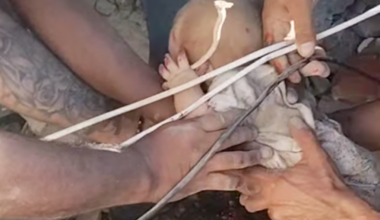 Baby rescued from earthquake rubble in Colombia as death toll rises