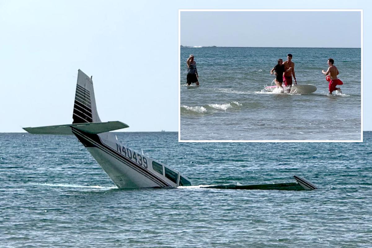 Young pilot makes emergency landing in front of Florida beachgoers -- quickly rescued uninjured