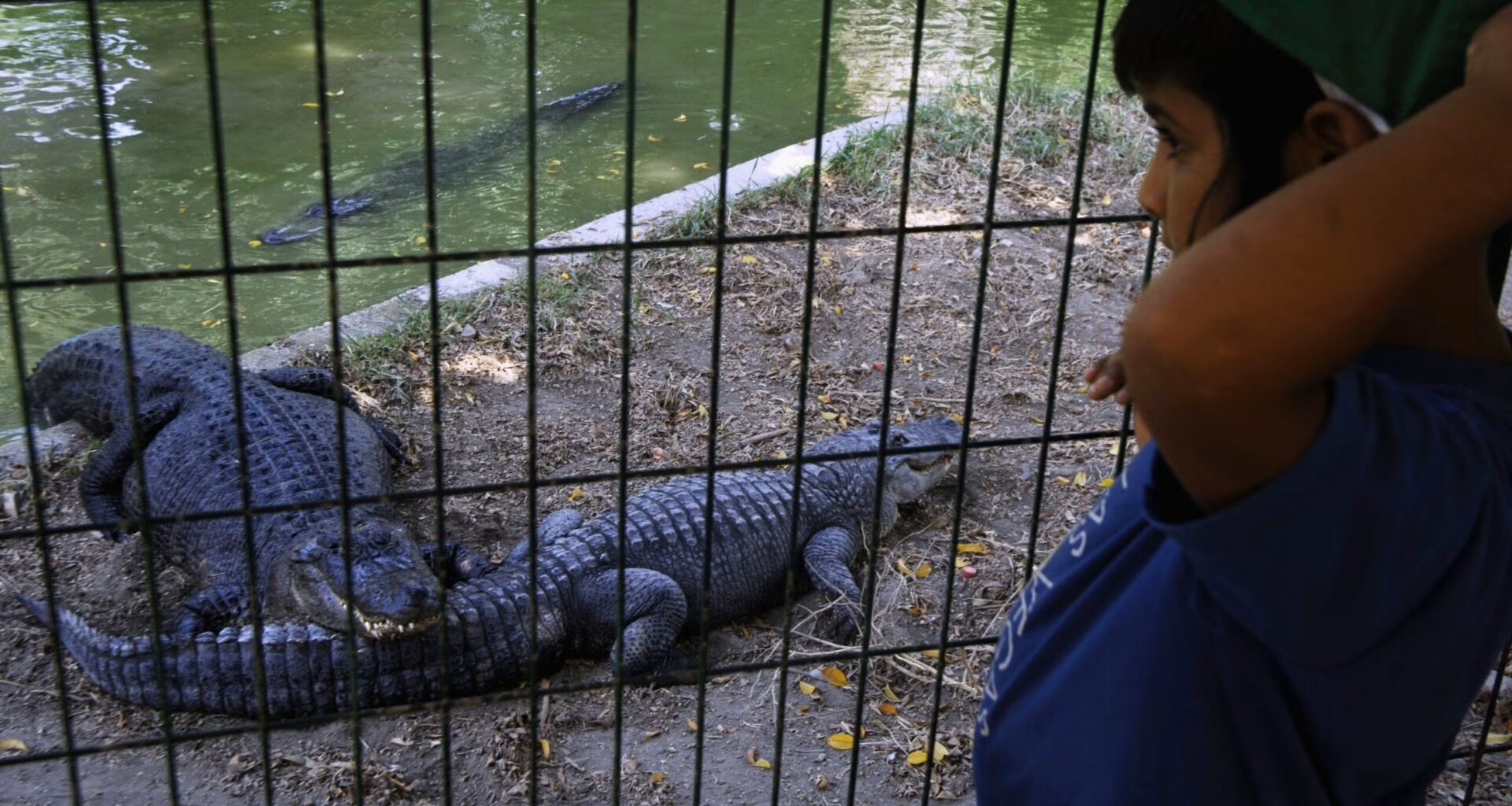 Israeli court delays Ben-Gvir’s plans for an Israeli ‘Crocodile Alcatraz’