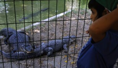 Israeli court delays Ben-Gvir’s plans for an Israeli ‘Crocodile Alcatraz’