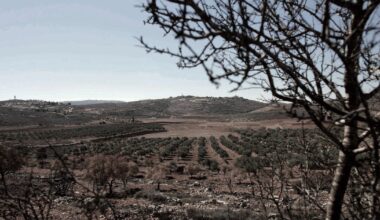 I Spent a Saturday Way Outside My Comfort Zone – in the West Bank