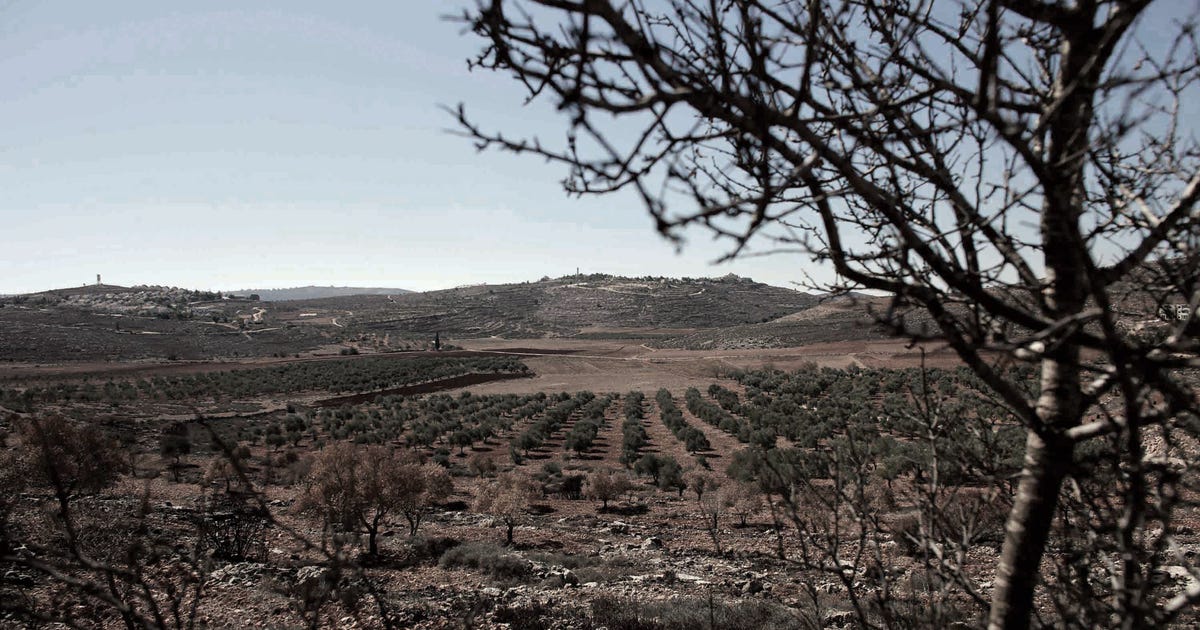 I Spent a Saturday Way Outside My Comfort Zone – in the West Bank