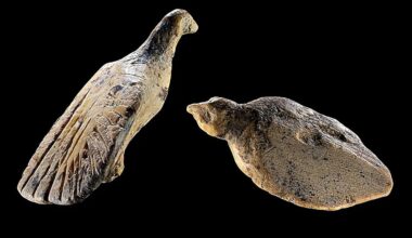 These Tiny 40,000-Year-Old Bird Carvings Reveal Astonishing Ice Age Artistry