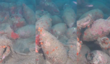 Video: 2,000-year-old Roman-era shipwreck found in Italy