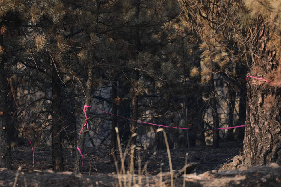 Man accused of sparking a Spokane wildfire told police he planned it for weeks
