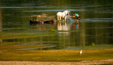 Temperatures hit record highs in Slovakia and Austria