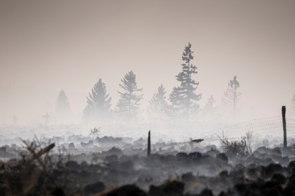 Wildfire still burning in Belgium and Greek authorities investigate deadly blaze