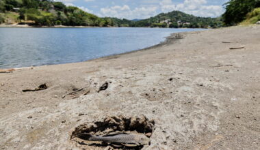 US declares drought disaster for areas in Puerto Rico as dry conditions persist