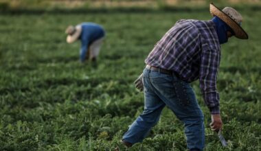 Trump administration's wage cuts for seasonal farmworkers is unlawful, federal judge in California rules