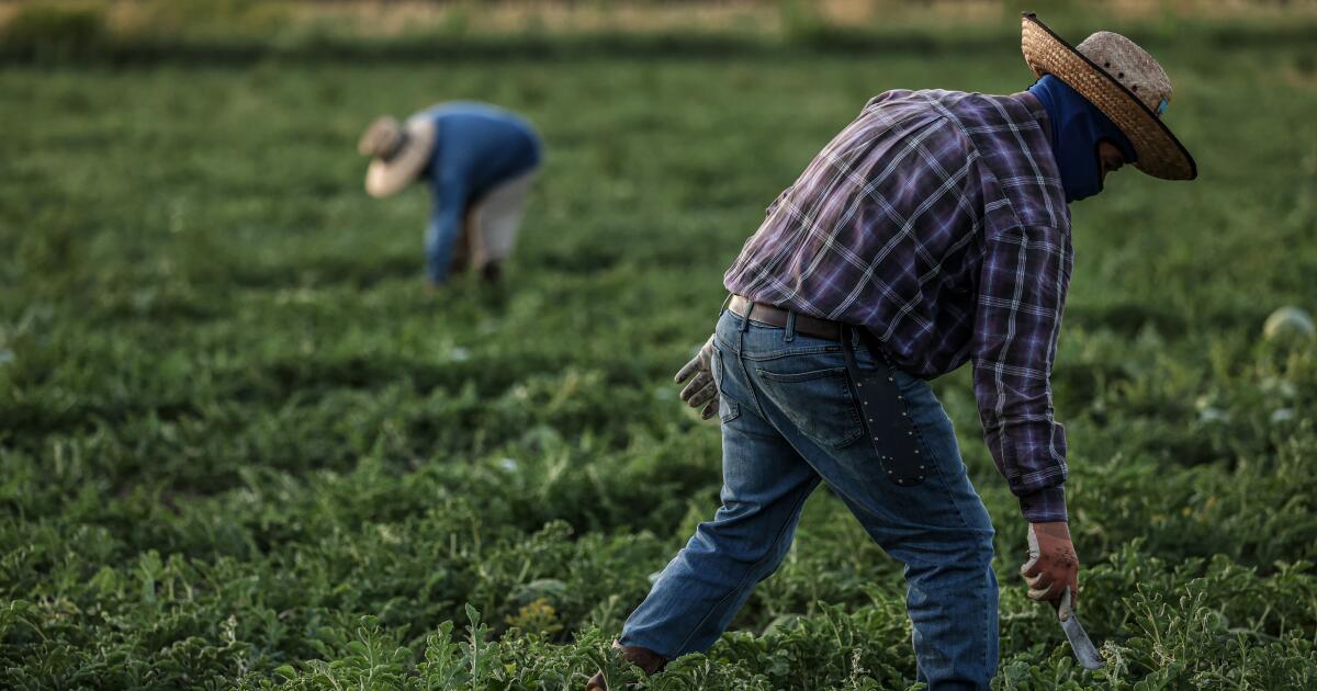 Trump administration's wage cuts for seasonal farmworkers is unlawful, federal judge in California rules