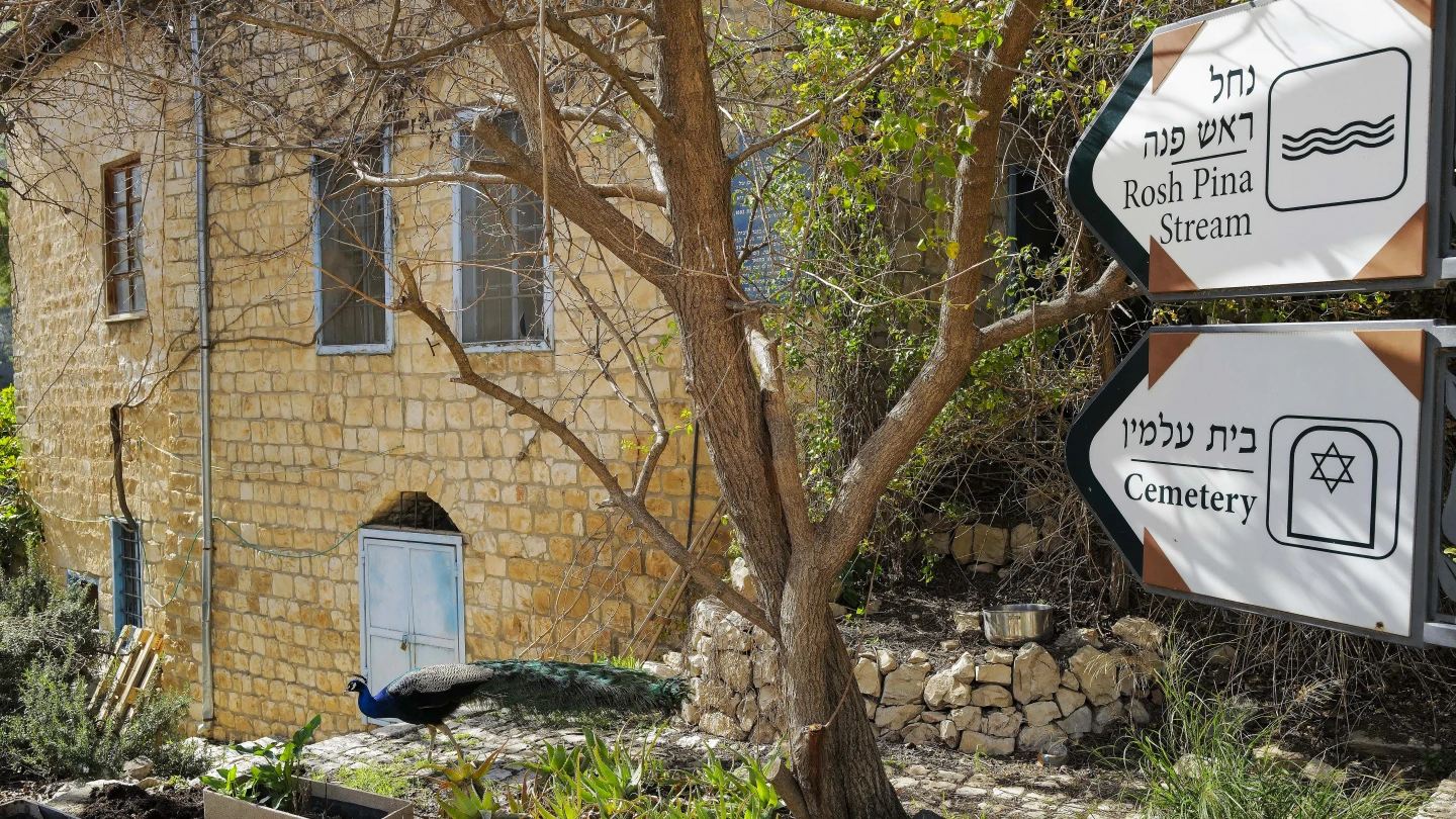 ‘Hell, no! We won’t go’ - Israel & Jewish News