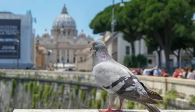 Catholic theologians launch a bold appeal supporting Israel - Israel & Jewish News