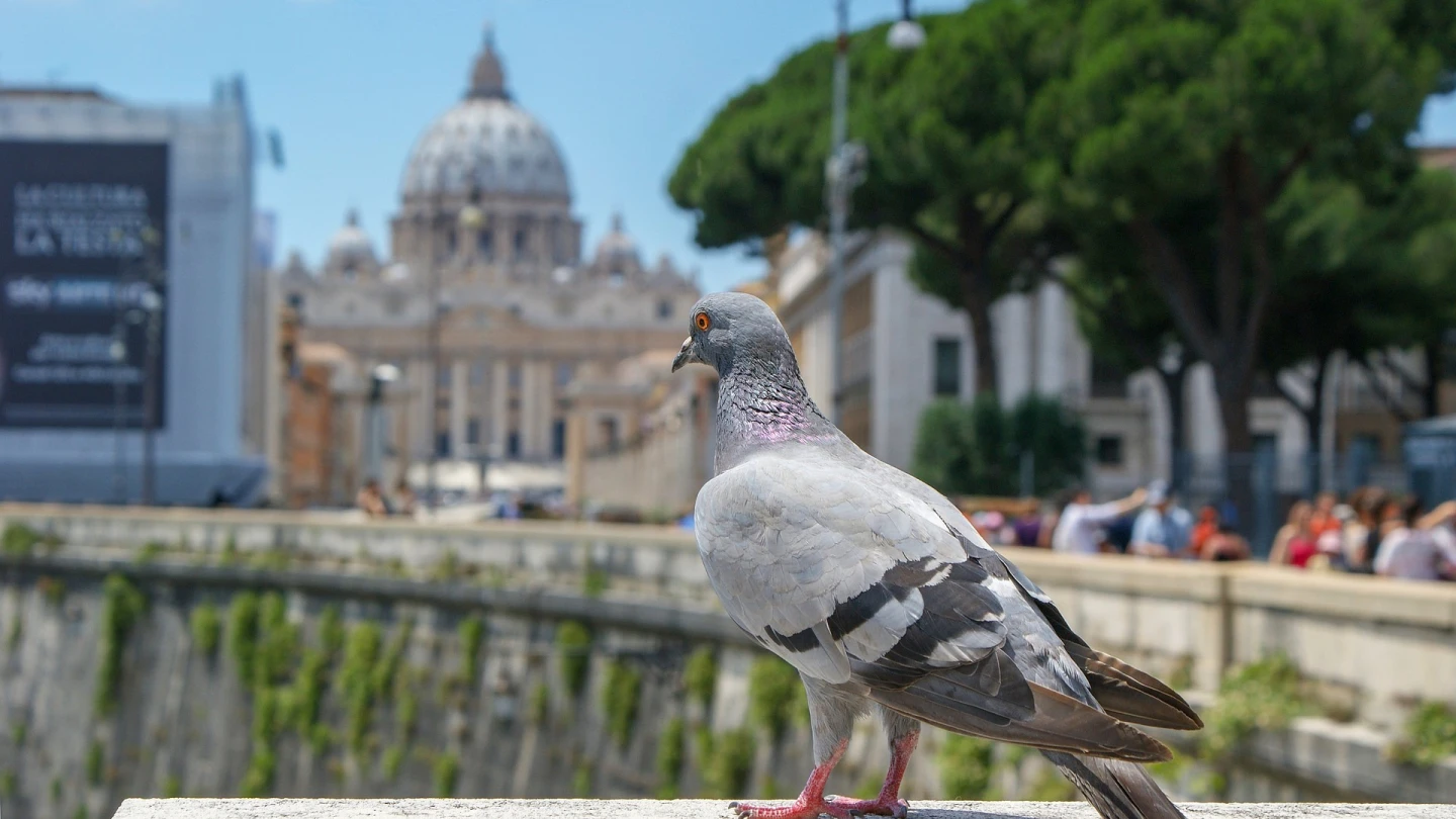 Catholic theologians launch a bold appeal supporting Israel - Israel & Jewish News