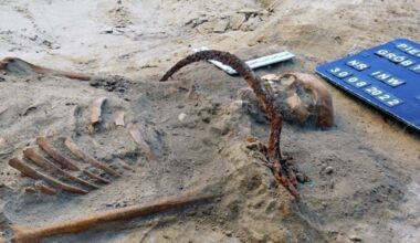 Gruesome Discovery Shows 17th-Century Villagers Were Terrified of What Lurked in 'Grave 75' : ScienceAlert