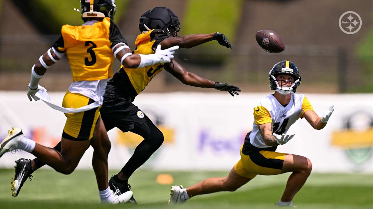 Pittsburgh Steelers logo