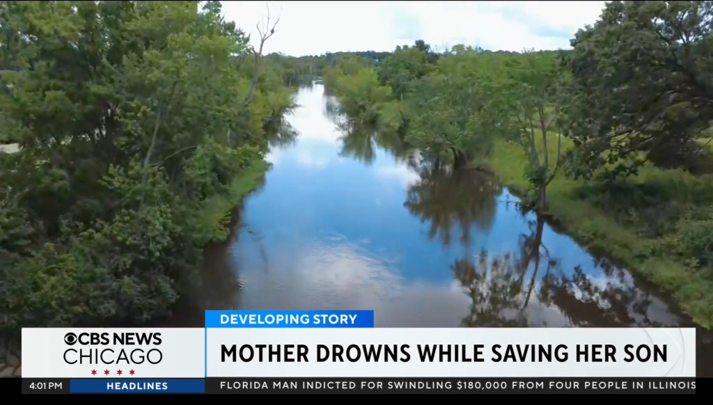 An aerial view of the Des Plaines River with trees lining its banks.