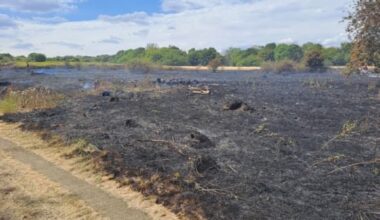 Firefighters tackle grass fire in Woolwich amid amber heat alert