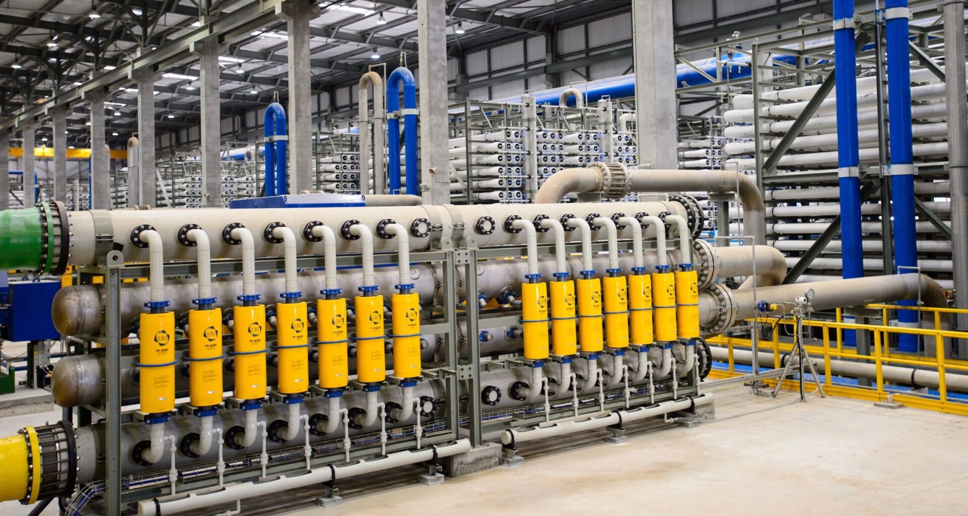 Nile Delta Algae Bloom Shuts Down Israel's Desalination Plants 