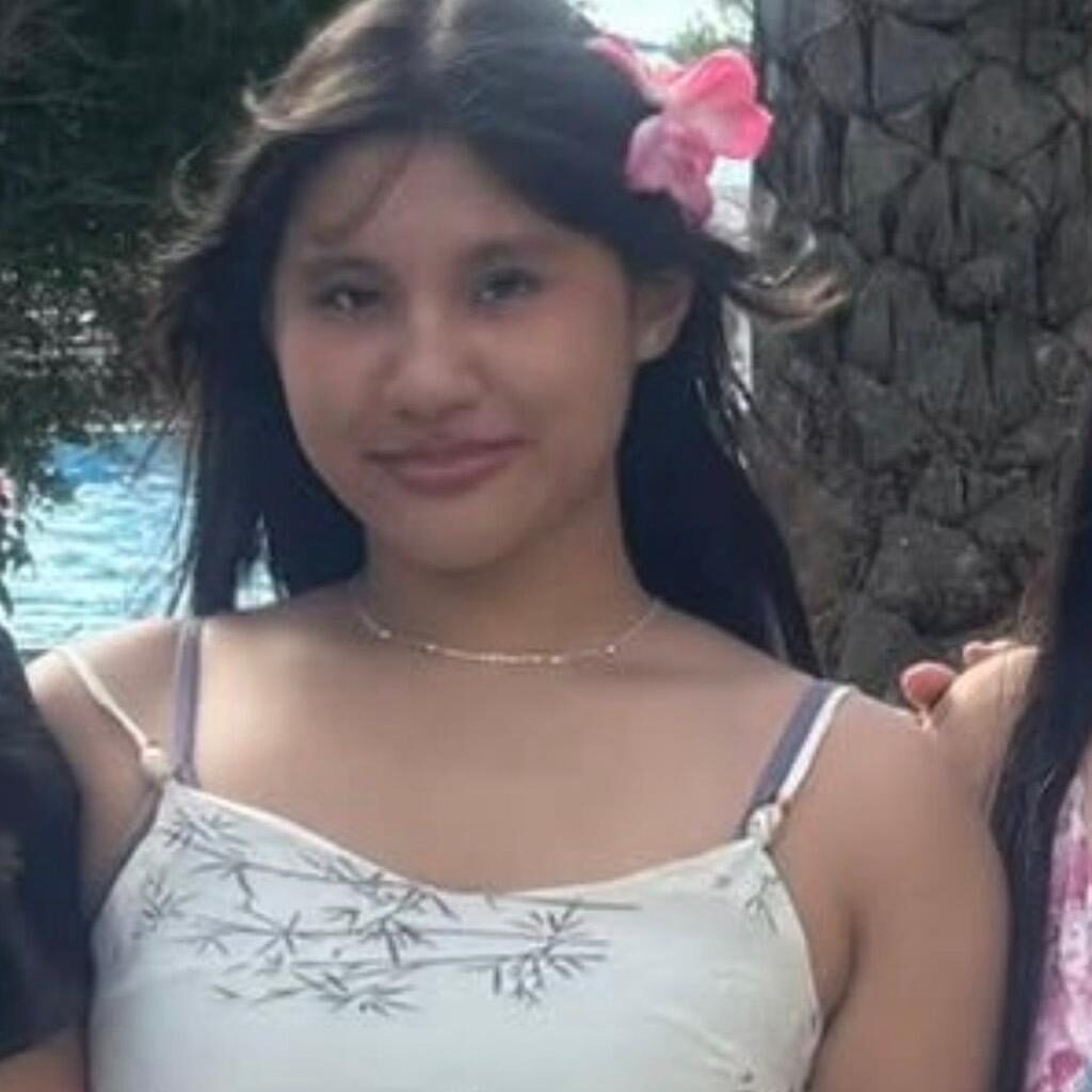 Fundraiser for Highgate schoolgirl, 16, killed in crash reaches almost £90,000 - London Evening Standard