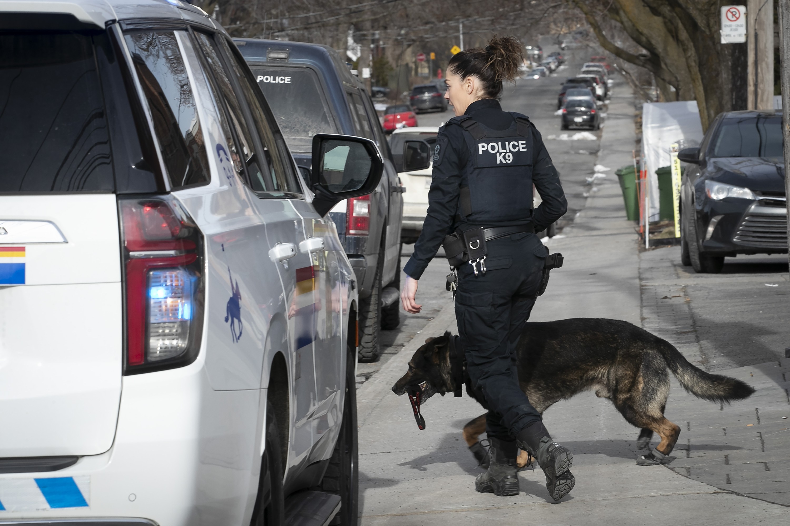 A female officer with a police dog on a sidewalk.