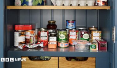 A cupboard filled with jars and tins of food.