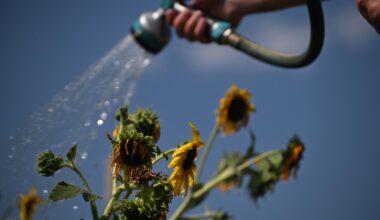 We just had the hottest August, hottest summer, and hottest year to date in U.S. history » Yale Climate Connections