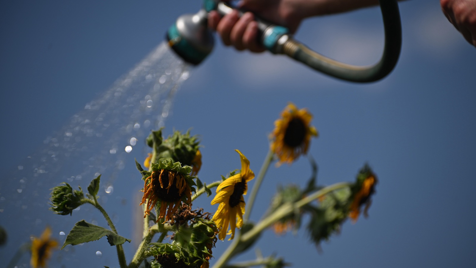 We just had the hottest August, hottest summer, and hottest year to date in U.S. history » Yale Climate Connections