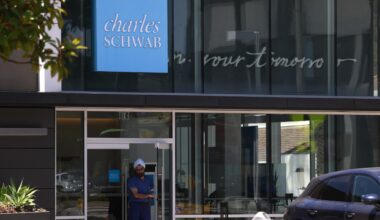 Meta's Muse AI causes Schwab selloff
