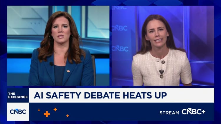 Silicon Valley divide grows on AI safety