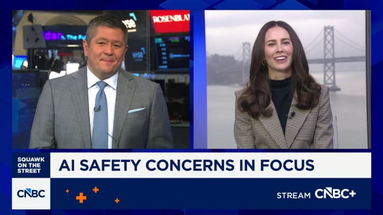 AI safety concerns in focus