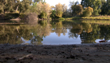 Man's body pulled from American River in Sacramento County