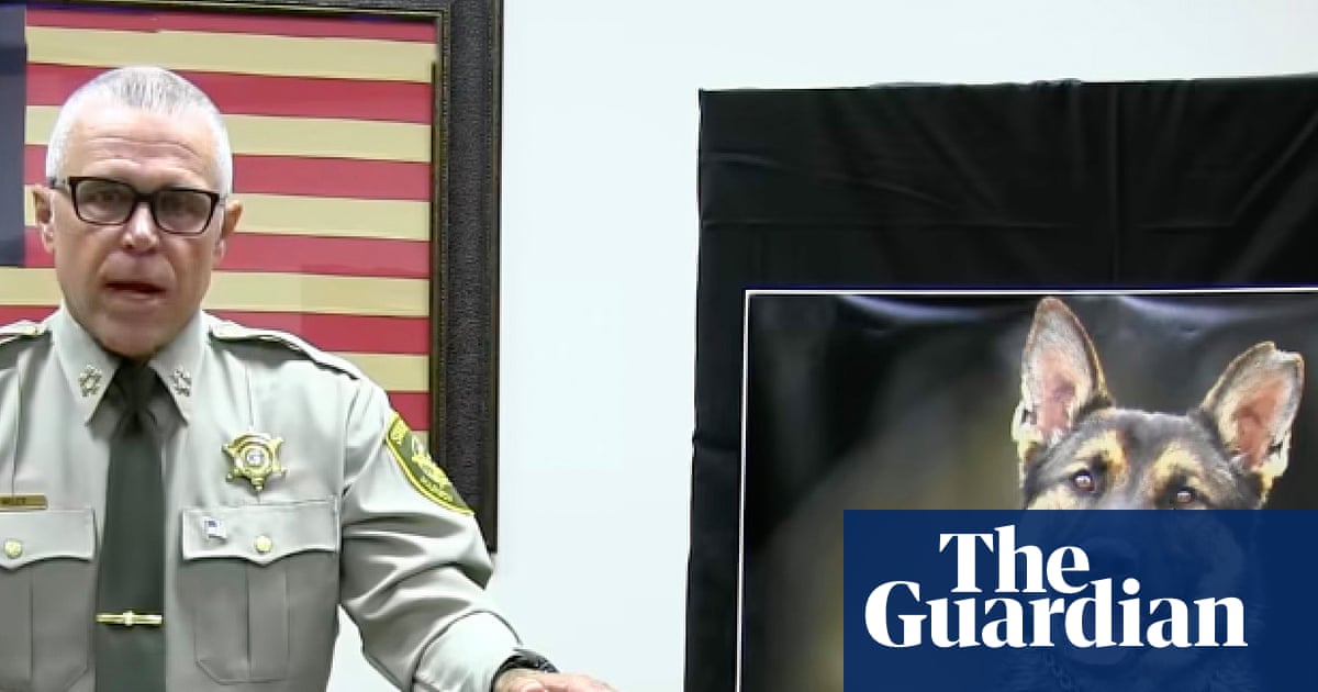 Police dog’s heatstroke death prompts criminal investigation in Tennessee | Tennessee