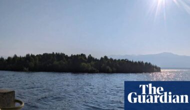 Peekaboo island: the floating forest confounding nature watchers in western Canada | Canada