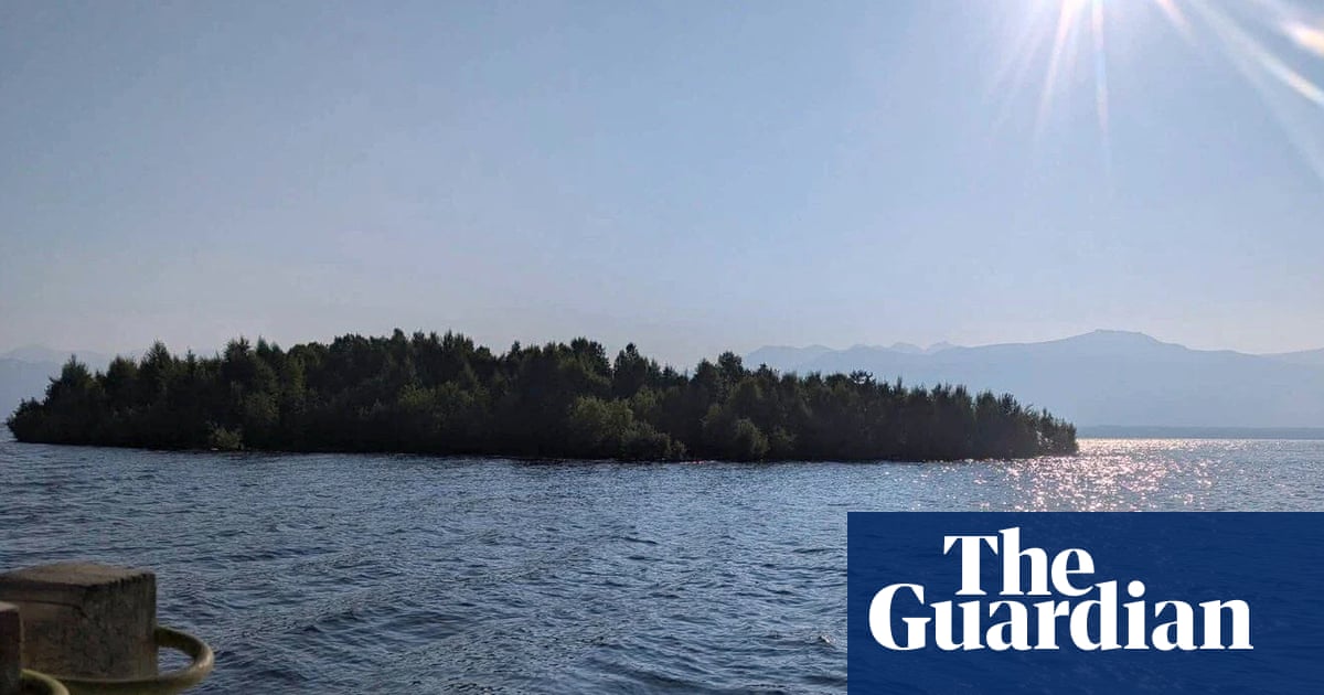 Peekaboo island: the floating forest confounding nature watchers in western Canada | Canada