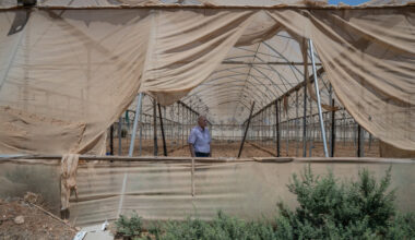 Israeli Tourist Trap ‘Herod’s Pool’ Is Draining Palestinians’ Land Dry