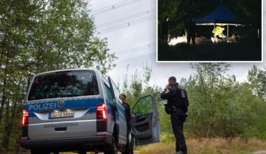 German police find 21 explosives after electricity attack